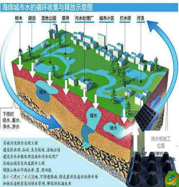 海綿城市